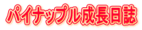 パイナップル成長日誌